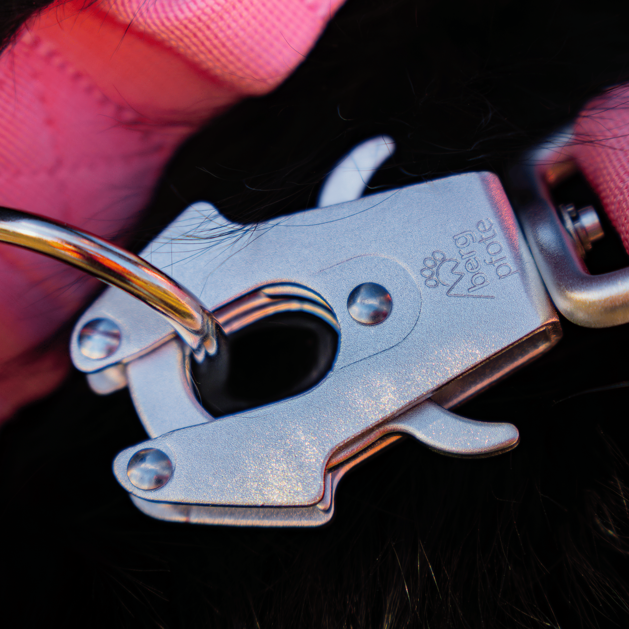 Bergpfote Control Halsband