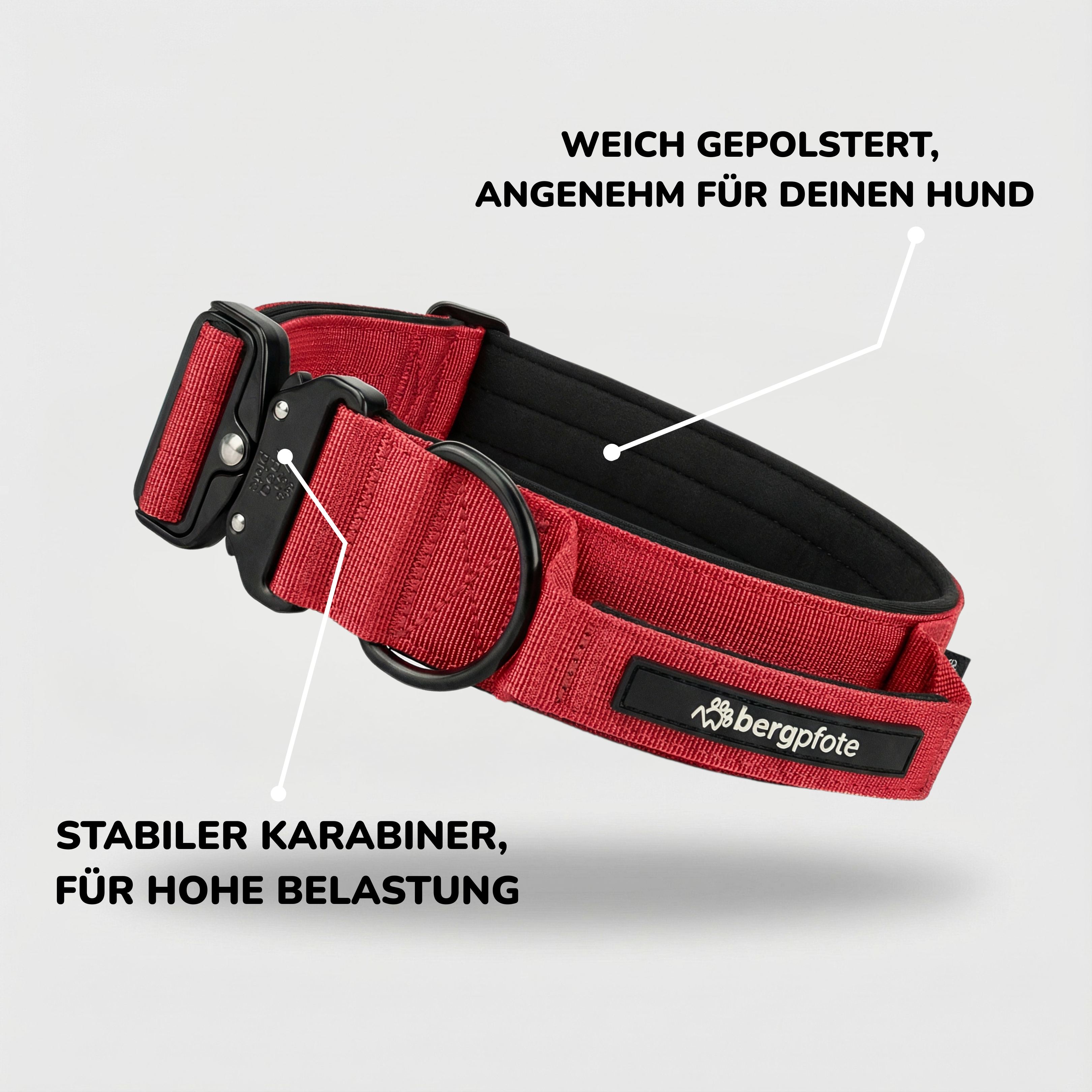 Bergpfote Control Halsband