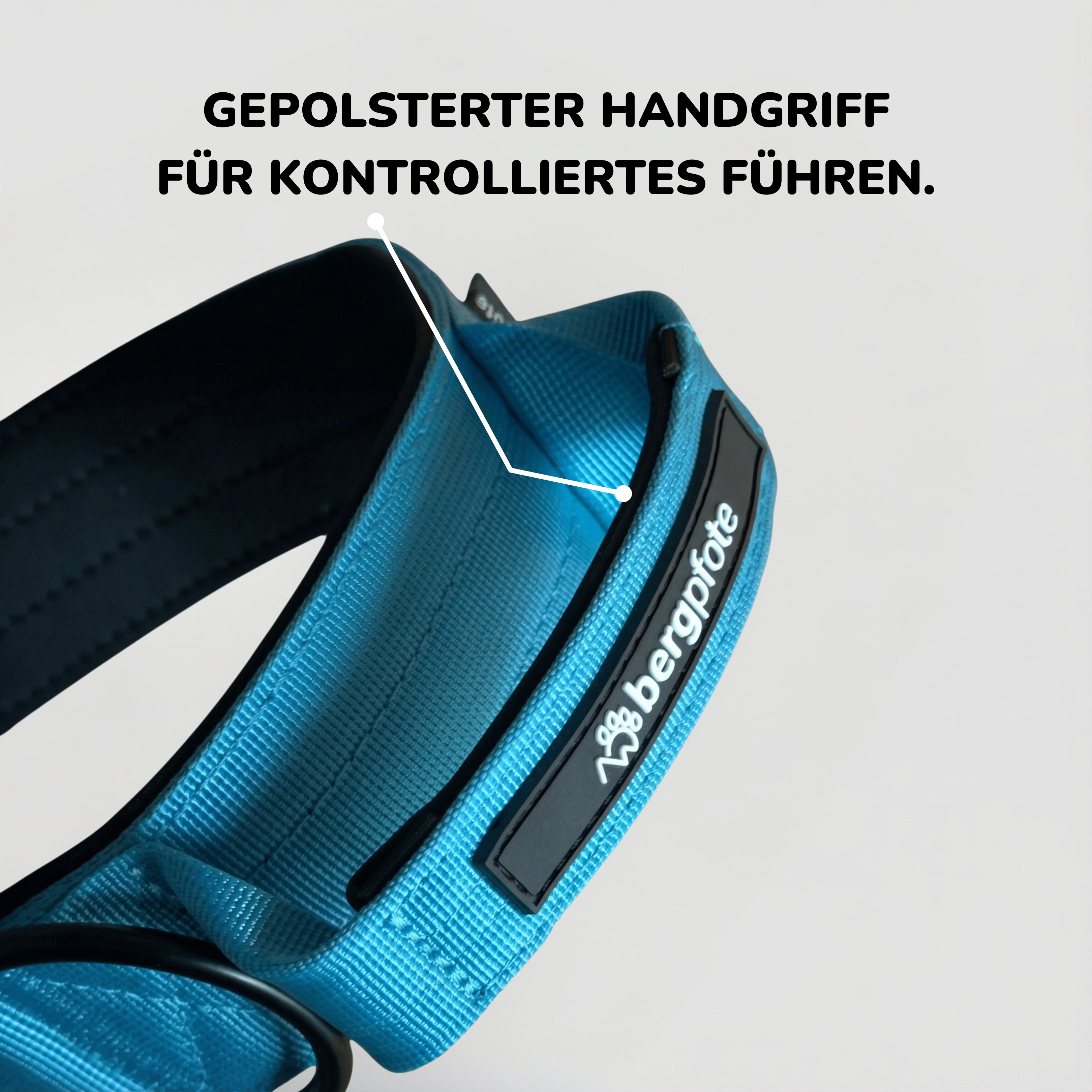 Bergpfote Control Halsband
