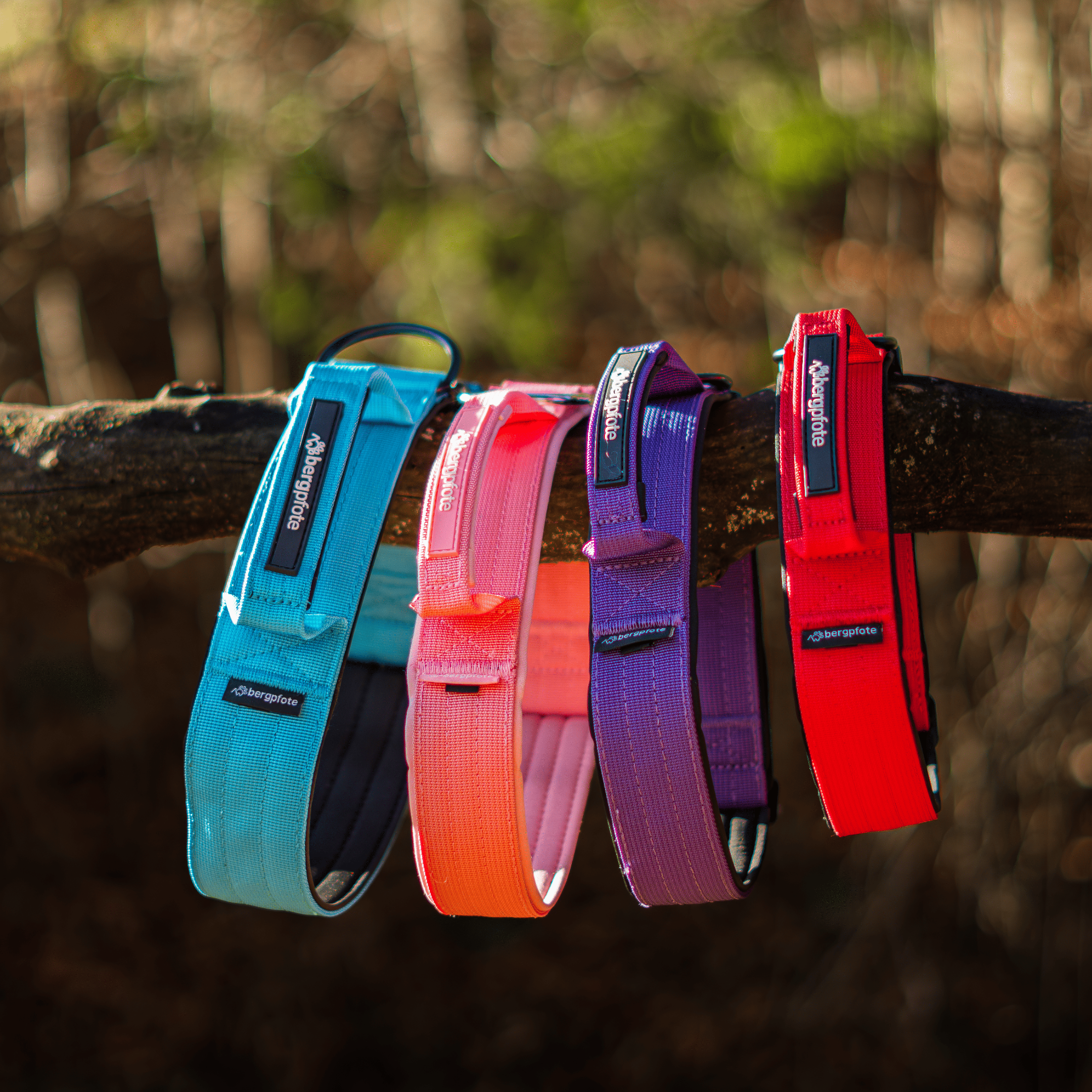 Bergpfote Control Halsband