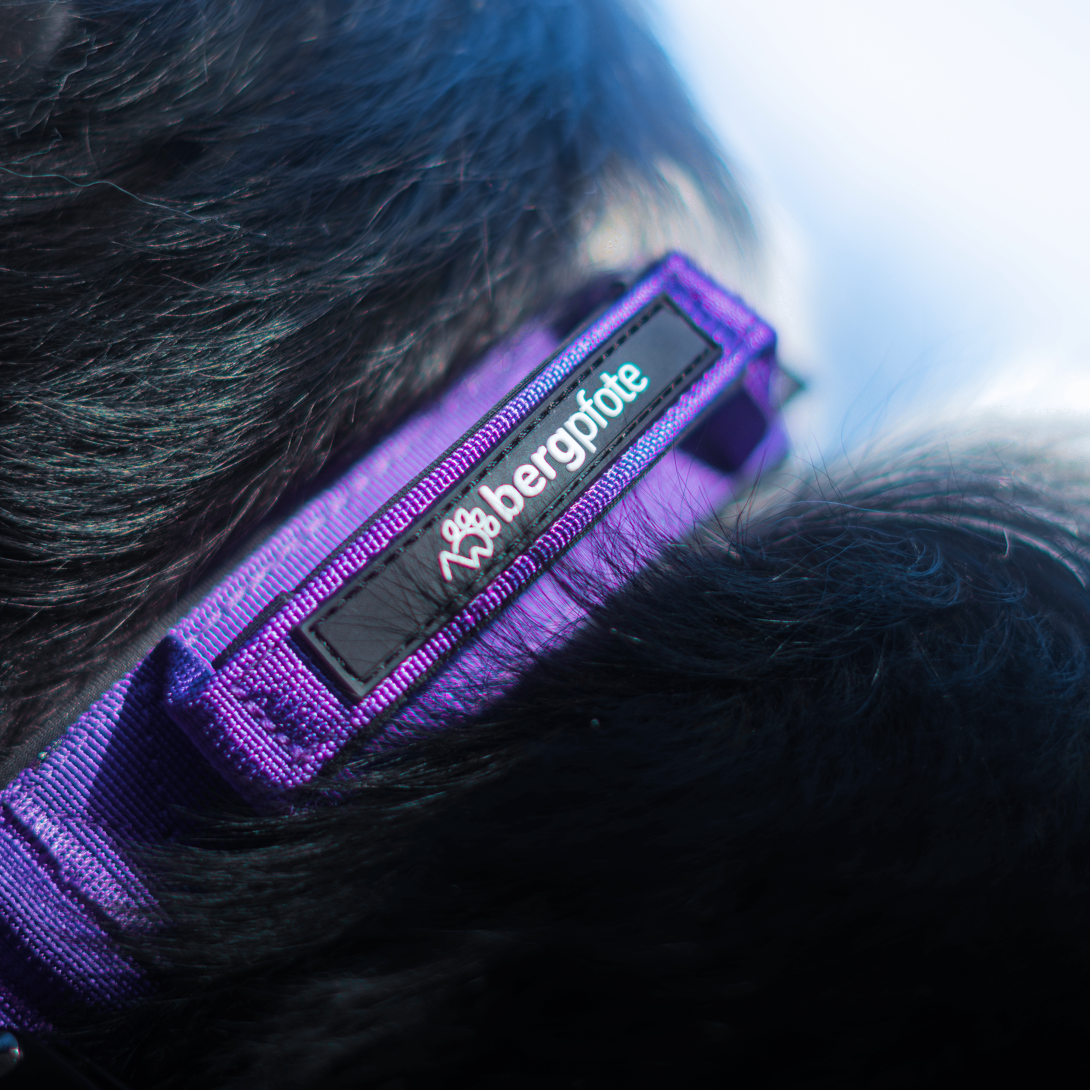 Bergpfote Control Halsband